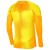 Bluza Nike Gardien IV Goalkeeper JSY DH7967 719