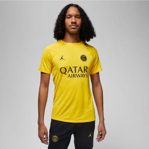 Koszulka Nike PSG DF Academy Pro SS Top PM 4TH DR4906 720