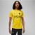 Koszulka Nike PSG DF Academy Pro SS Top PM 4TH DR4906 720