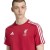 Koszulka adidas Liverpool FC DNA Tee JW7889