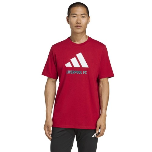 Koszulka adidas Liverpool FC Seasonal DNA Graphic Tee 2 JY3466
