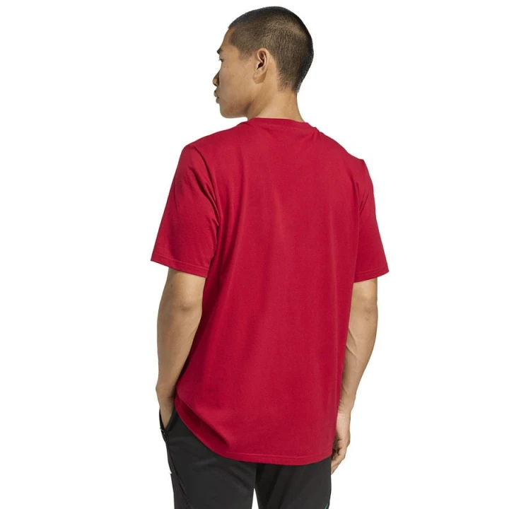 Koszulka adidas Liverpool FC Seasonal DNA Graphic Tee 2 JY3466