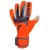 Rękawice Reusch Attrakt Gold X NC World Cup 56 70 056 2290