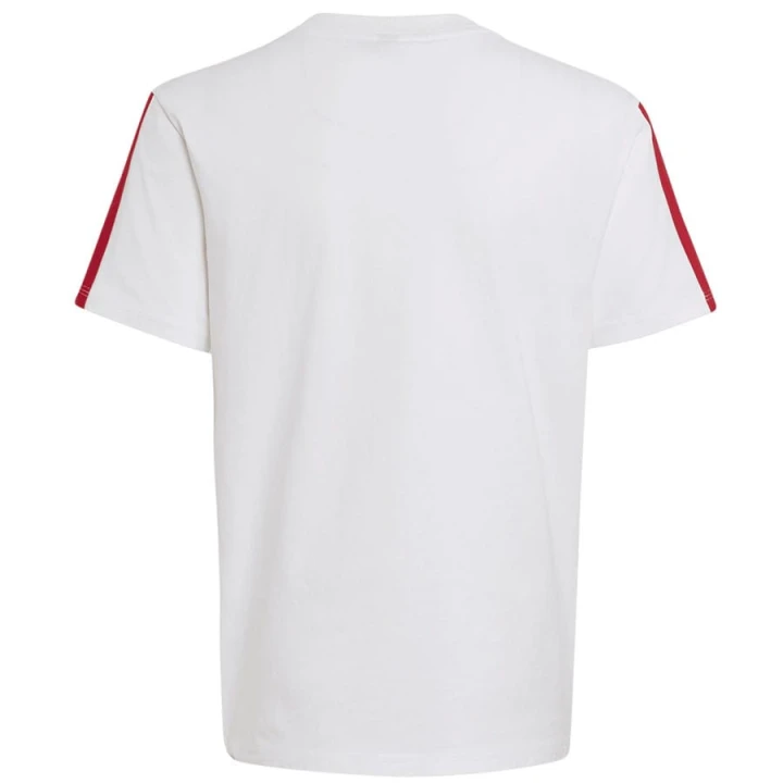 Koszulka adidas FC Bayern DNA Tee Junior KG2591
