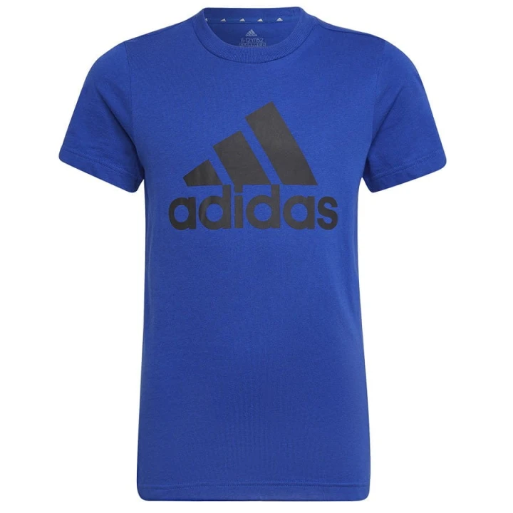 Koszulka adidas Big Logo Tee HP0840