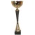 Puchar Tryumf 9216