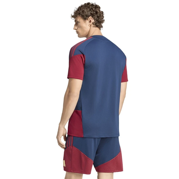 Koszulka adidas Arsenal Londyn Cup Training JSY KB9987
