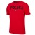 Koszulka Nike Polska Crest Tee FQ8672-657