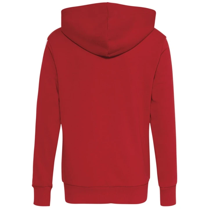 Bluza adidas FC Bayern Hoodie Kids KG2566