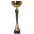 Puchar Tryumf 9216