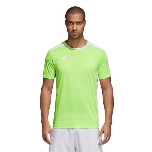 Koszulka adidas Entrada 18 JSY CE9758