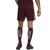 Spodenki adidas SQUADRA 21 Short GN8083