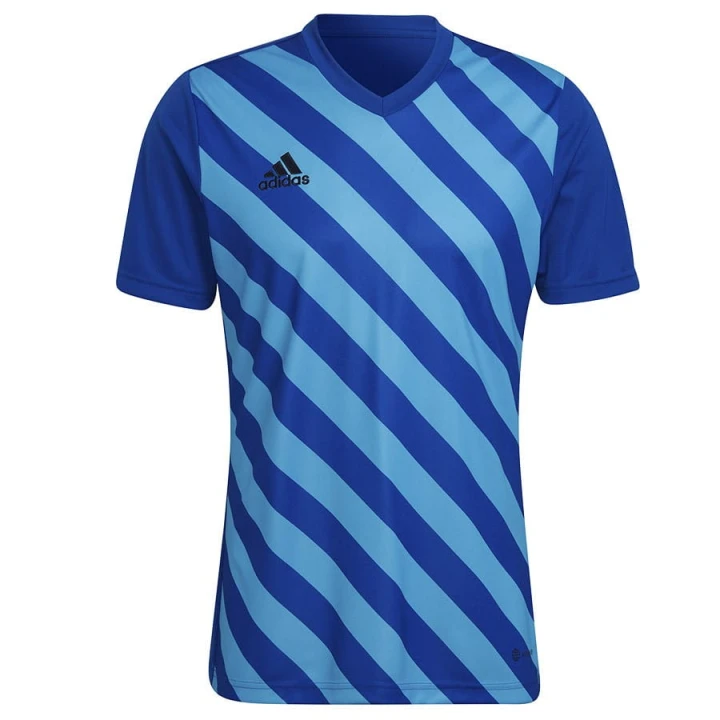 Koszulka adidas ENTRADA 22 GFX JSY HF0116
