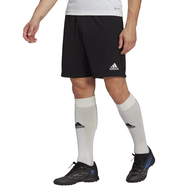 Spodenki adidas ENTRADA 22 Training Short  HB0575