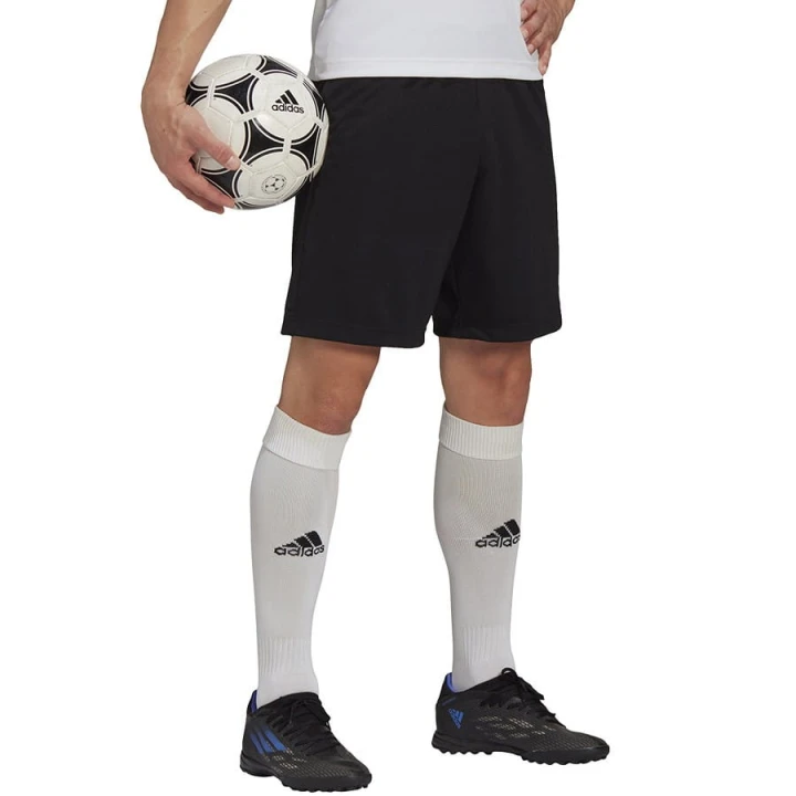 Spodenki adidas ENTRADA 22 Training Short  HB0575