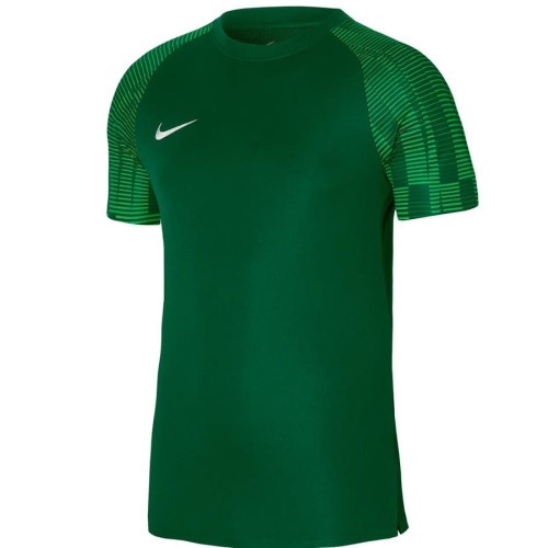 Koszulka piłkarska Nike Dri-Fit Academy JSY Jr DH8369 302