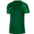 Koszulka piłkarska Nike Dri-Fit Academy JSY Jr DH8369 302