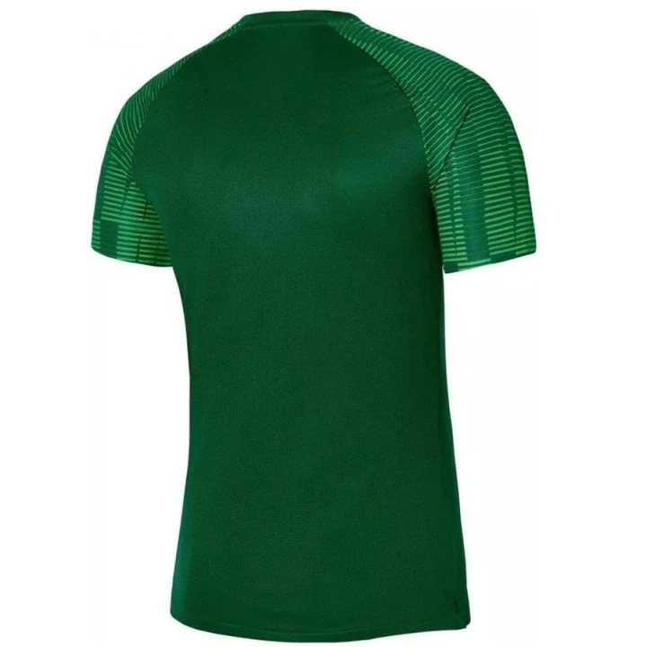 Koszulka piłkarska Nike Dri-Fit Academy JSY Jr DH8369 302