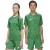 Koszulka adidas Team Icon 25 JSY Jr JJ1956