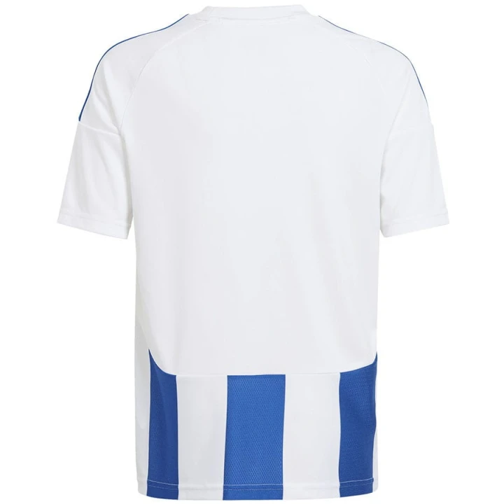 Koszulka adidas STRIPED 24 JSY IW2134