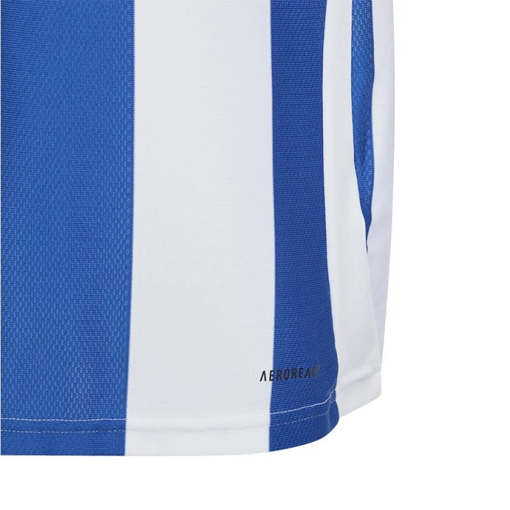 Koszulka adidas STRIPED 24 JSY IW2134