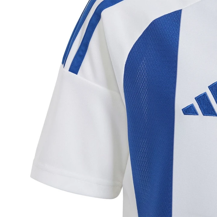 Koszulka adidas STRIPED 24 JSY IW2134