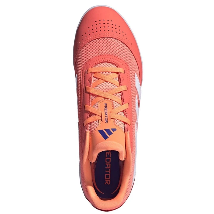 Buty adidas Predator Club Sala IN JH8856