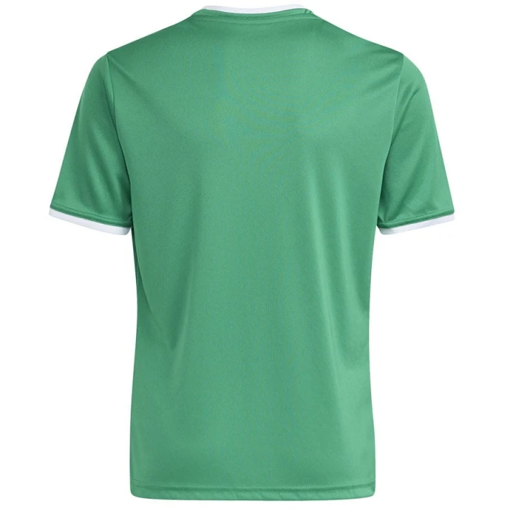 Koszulka adidas Entrada 26 JSY JZ2528